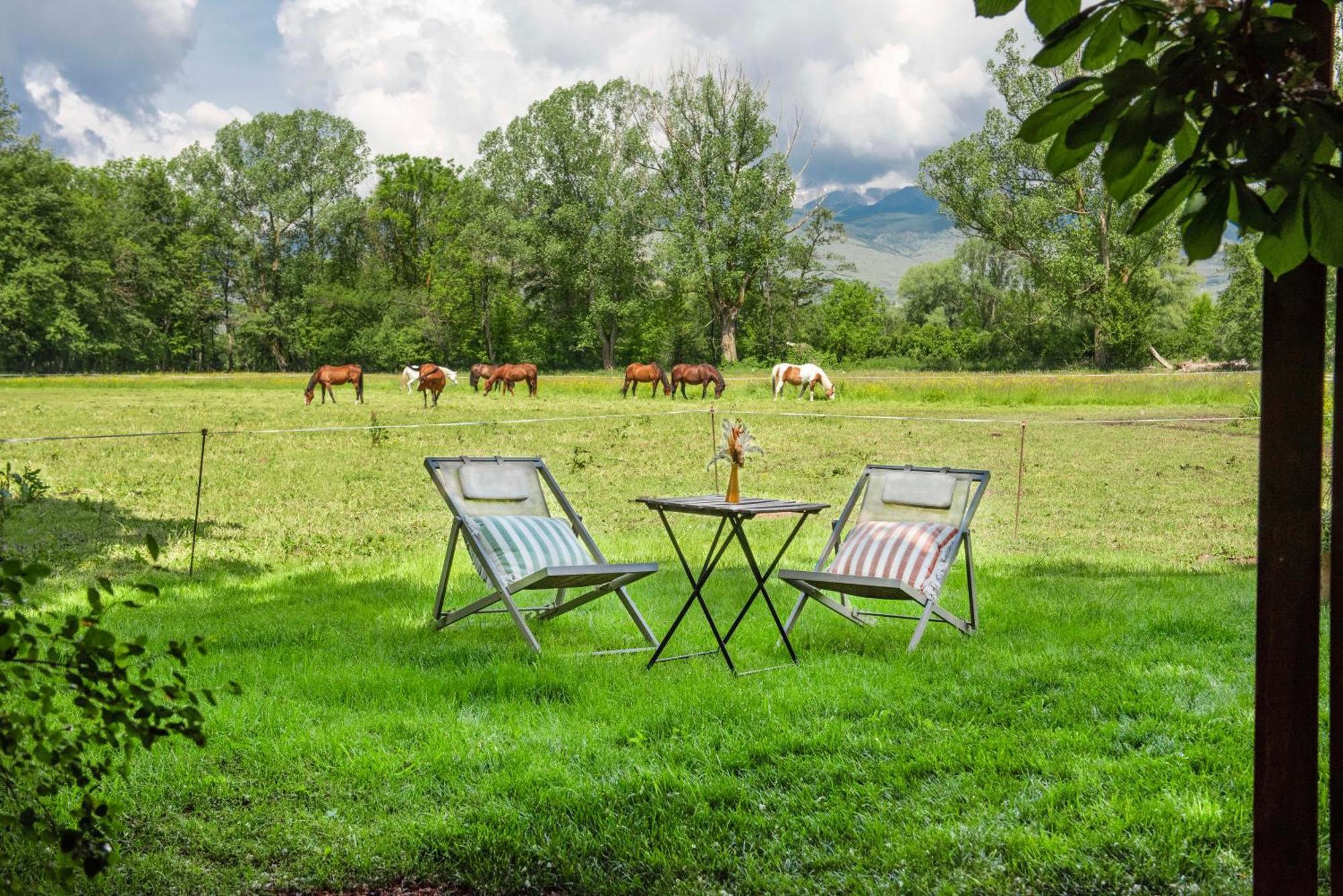 Mas Sant Marc Pensionat Puigcerdà Rum bild
